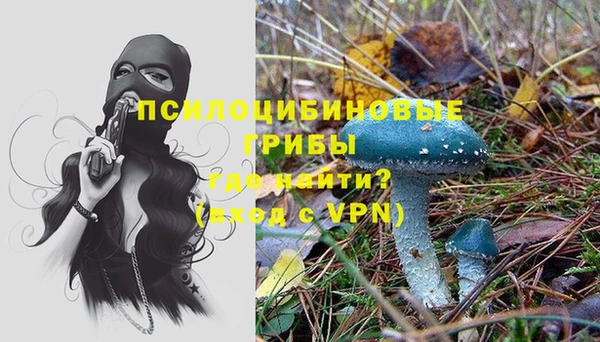 каннабис Заводоуковск
