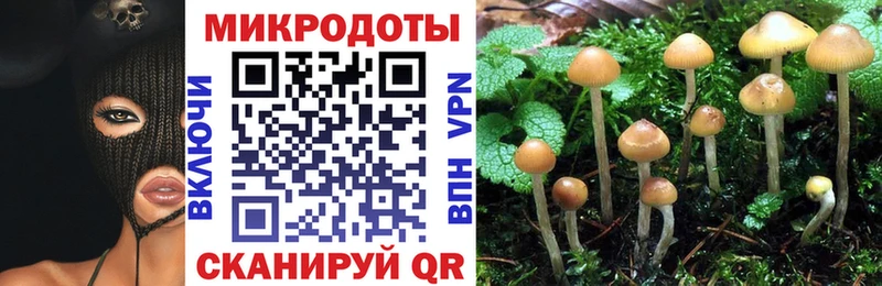 Псилоцибиновые грибы Magic Shrooms  кракен вход  Сунжа 